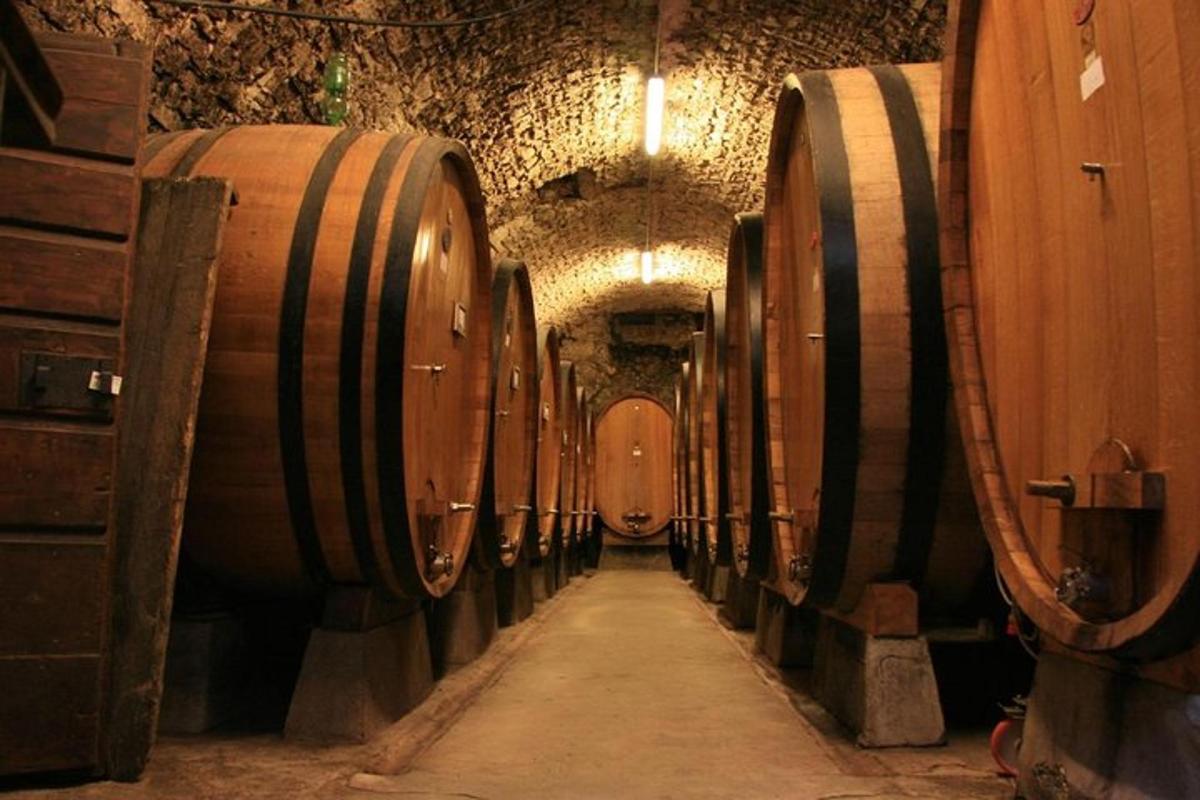 a row of wine barrels in a wine cellar