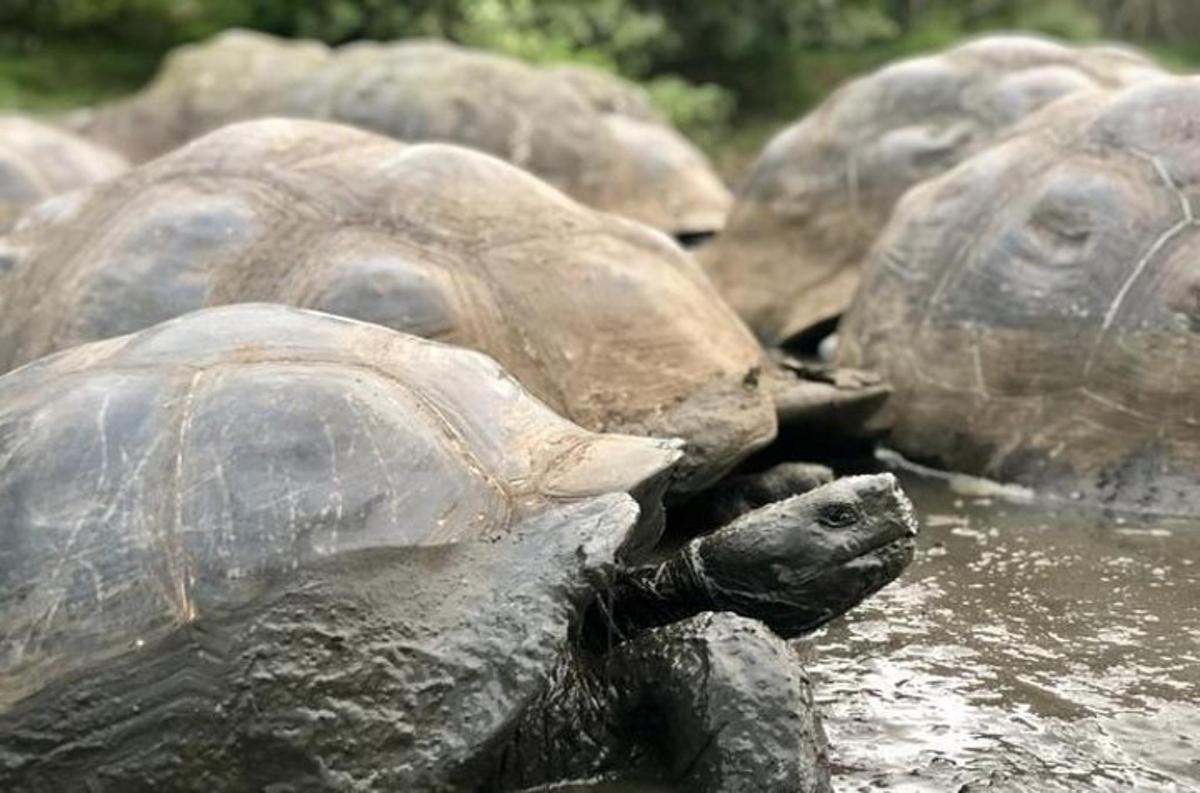 Lankytinos vietos ar pramogos nuotrauka numeris 1