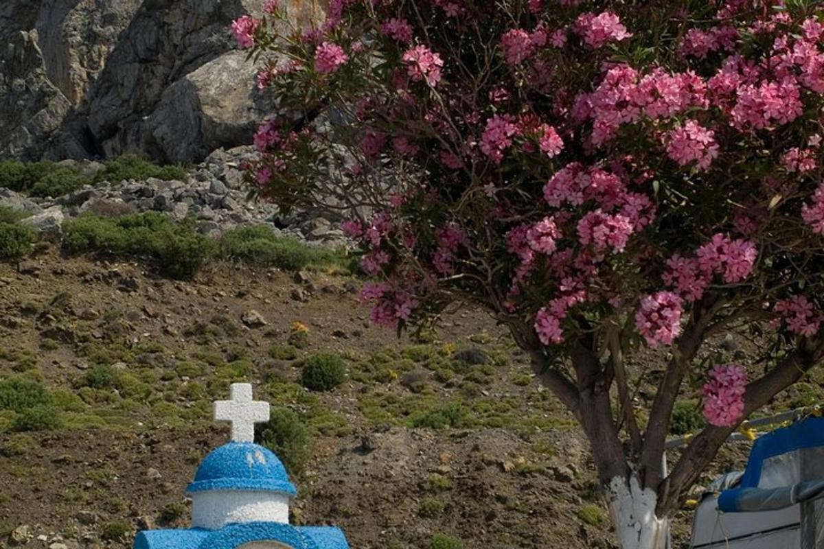 Fotografia da atração 3