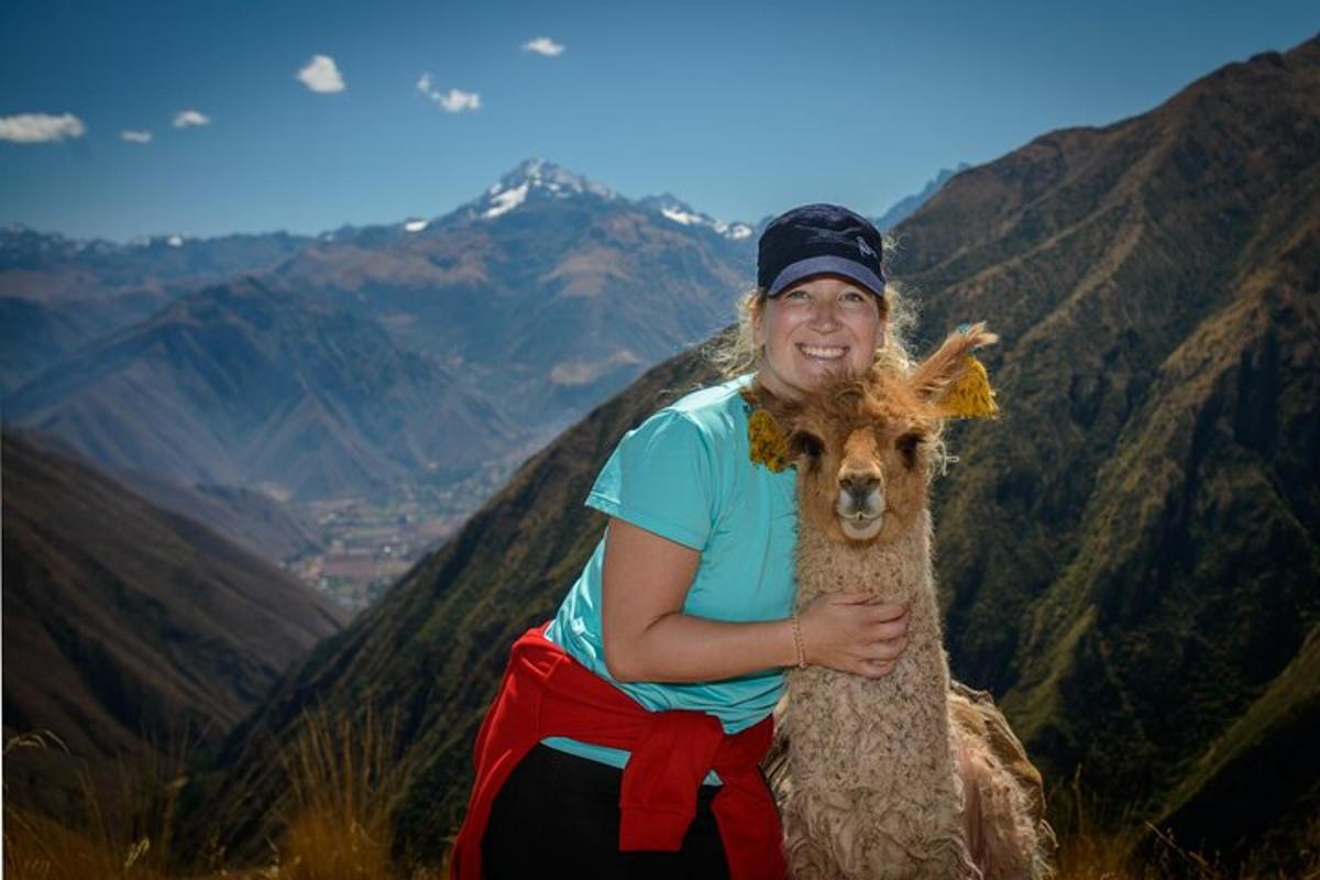 žena stojící na vrcholu hory s lamou
