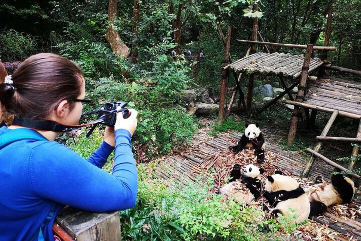 a woman taking a picture of some pandas