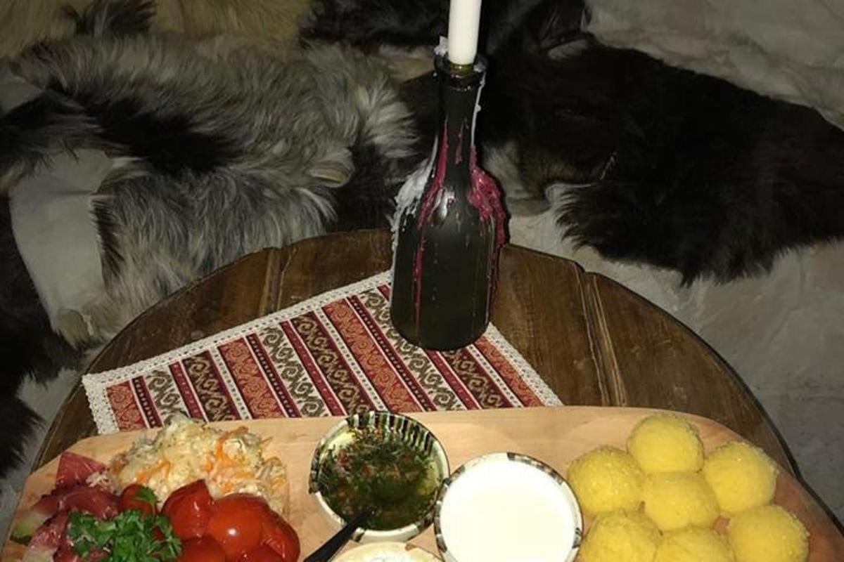 kočka ležící vedle stolu s talířem jídla