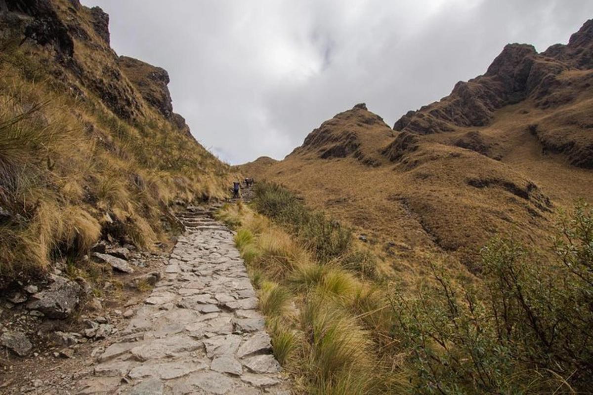 un sentiero di pietra su una montagna con persone che camminano su di esso