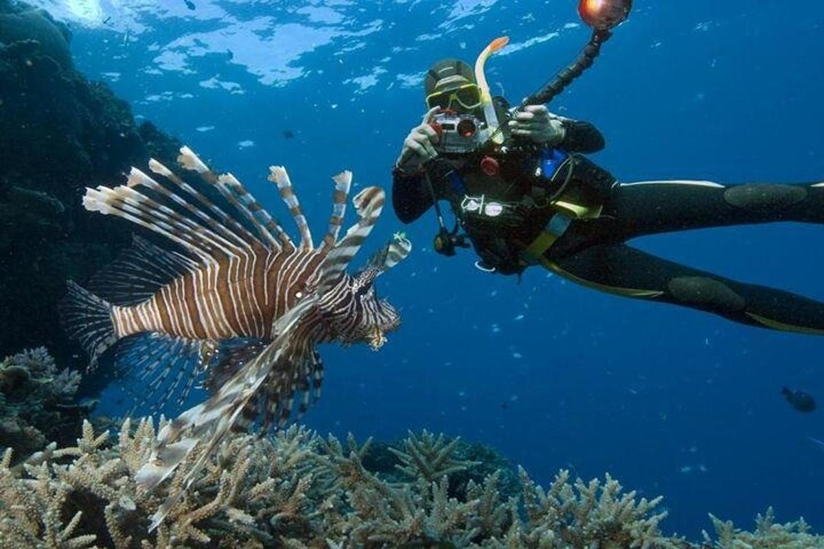 una persona fent una foto d'un peix a l'oceà