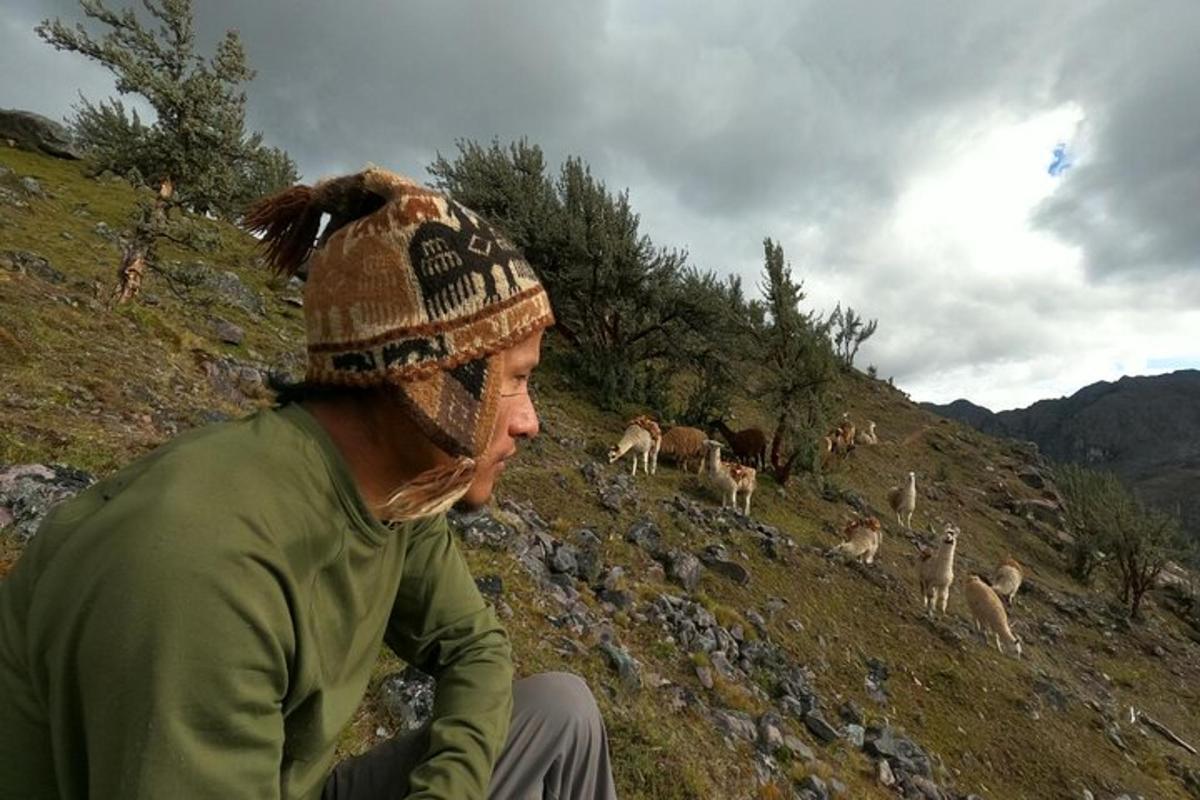 a woman is looking at a herd of deer on a hill
