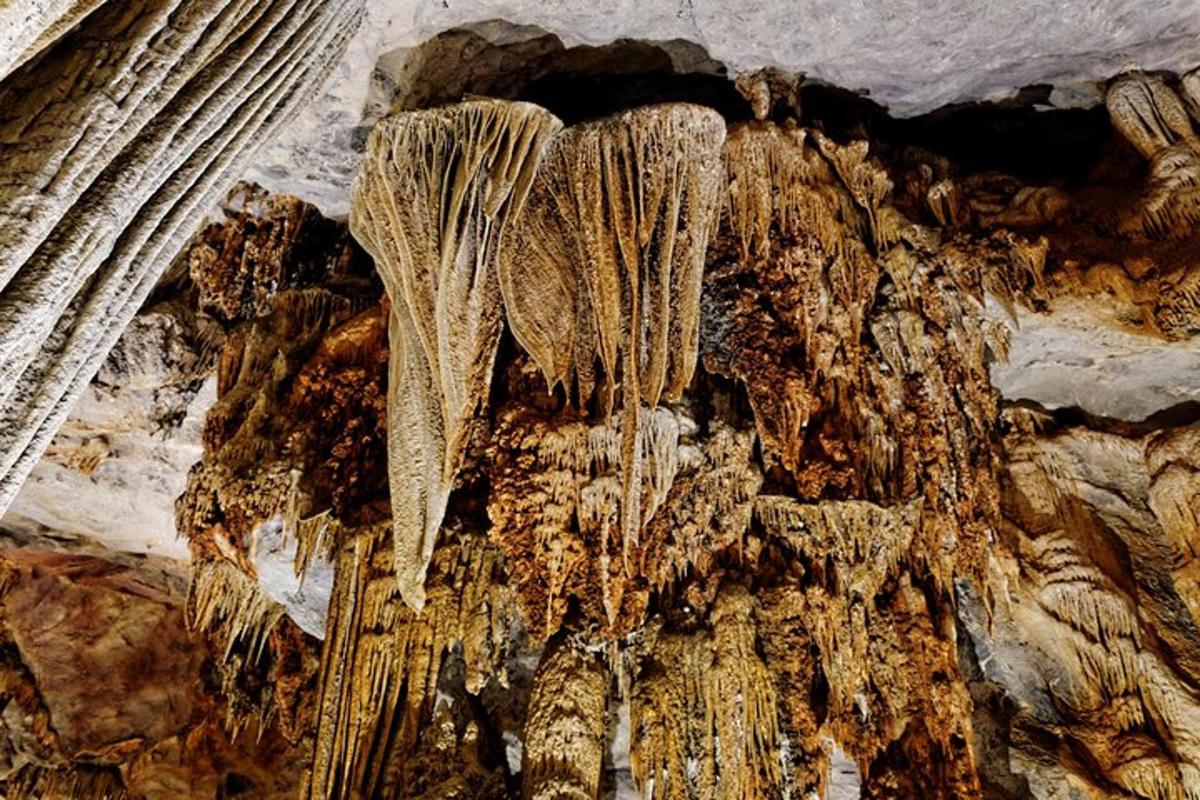 un mucchio di capelli che pende dal soffitto di una grotta