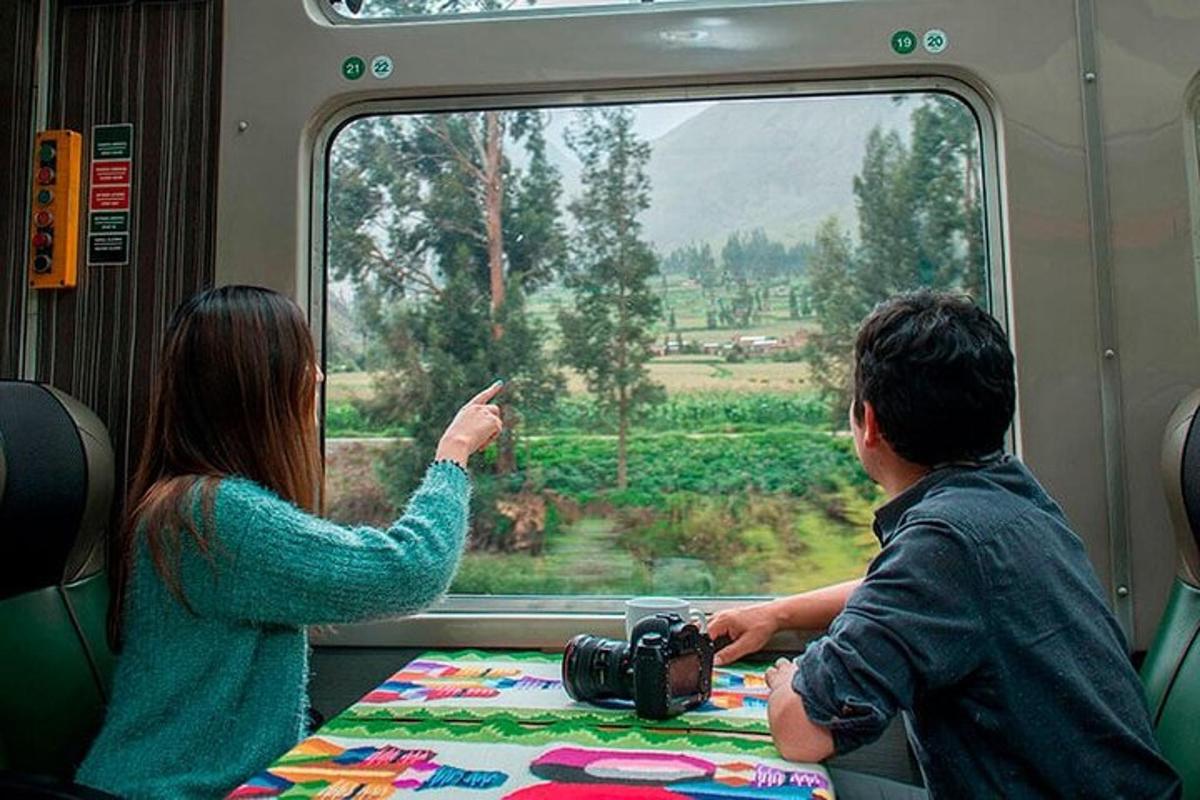 un home i una dona mirant per la finestra d'un tren