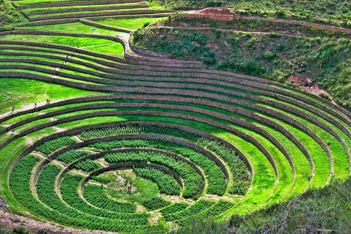 una vista aerea di un anfiteatro in un campo