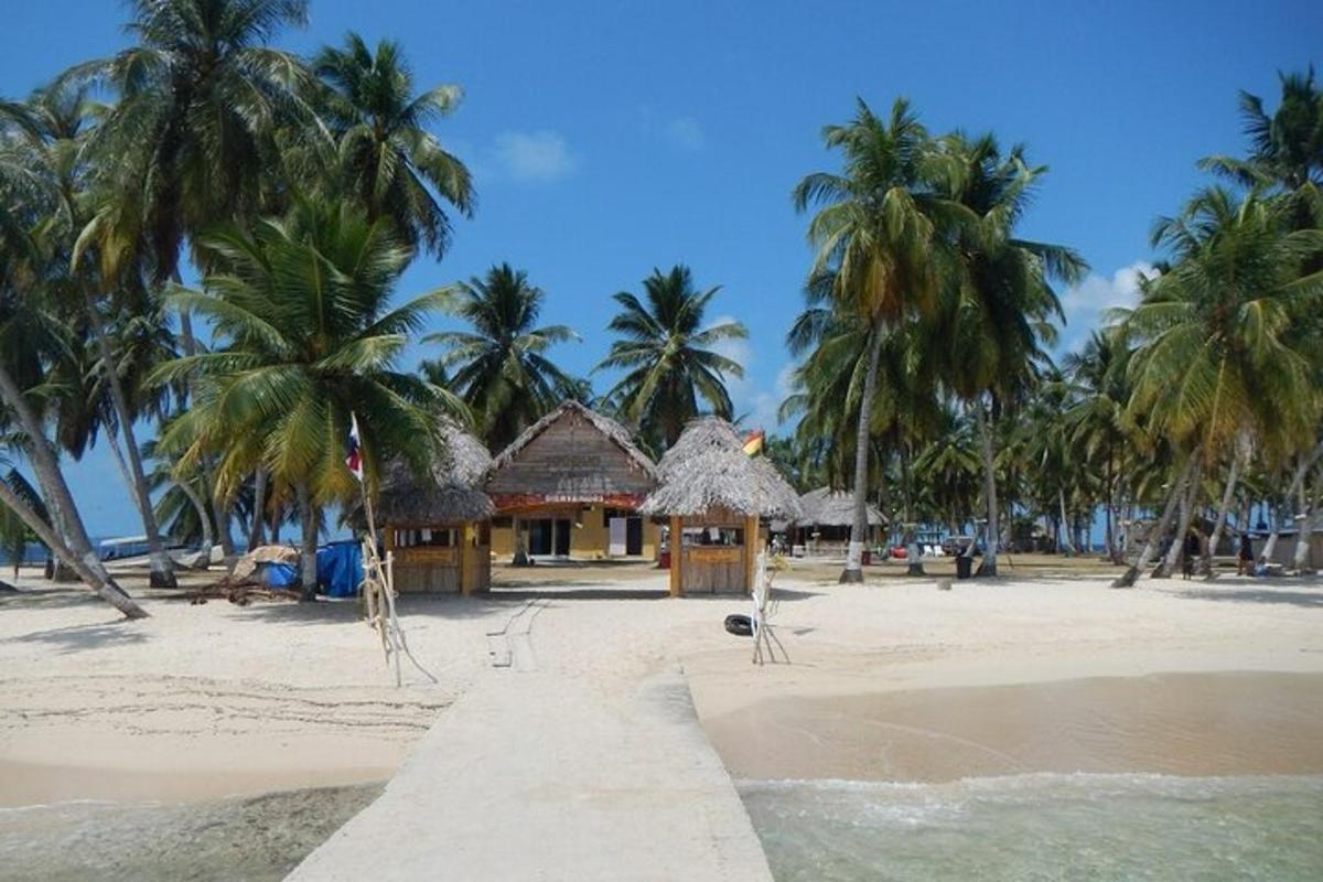 egy pálmafás strand és egy kunyhó