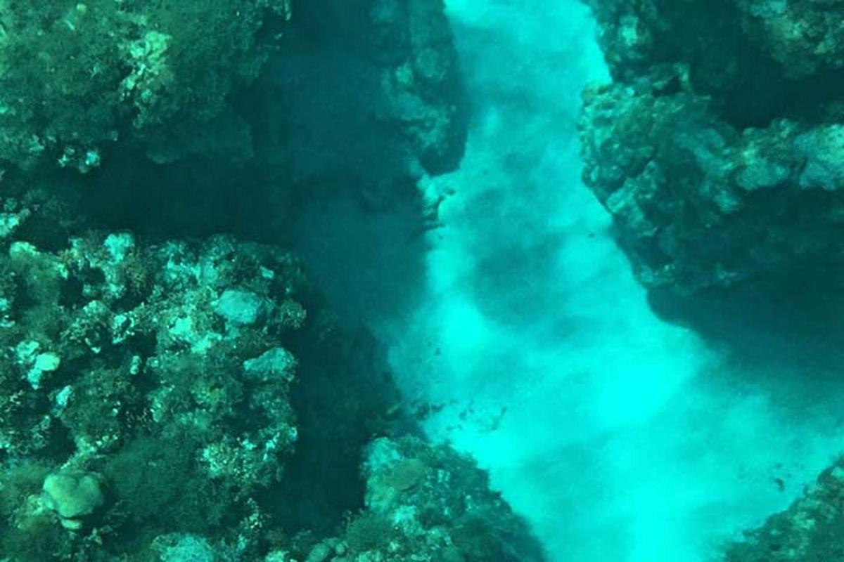 a body of water next to a coral reef