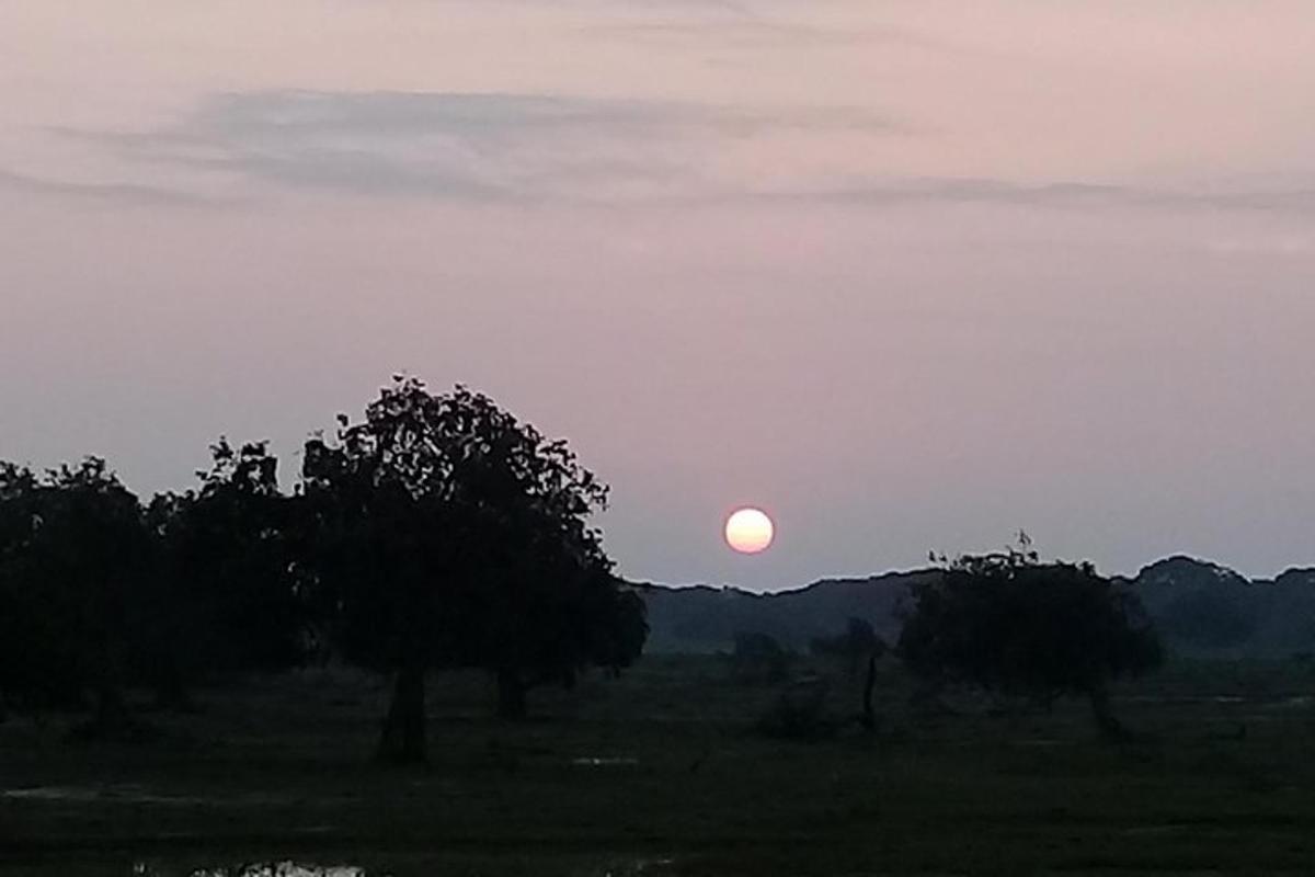 una posta de sol en un camp amb arbres en primer pla