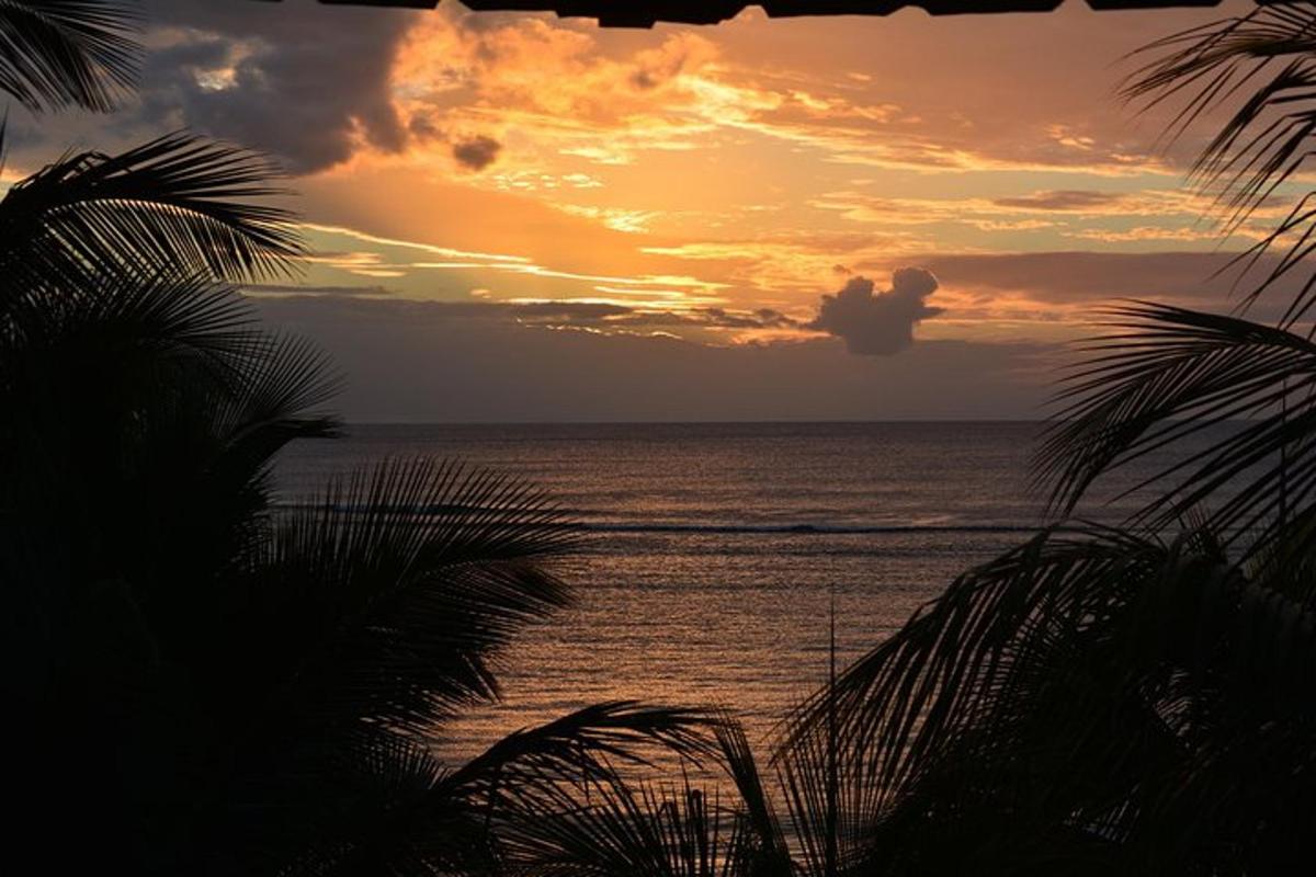 un tramonto sull'oceano con palme in primo piano