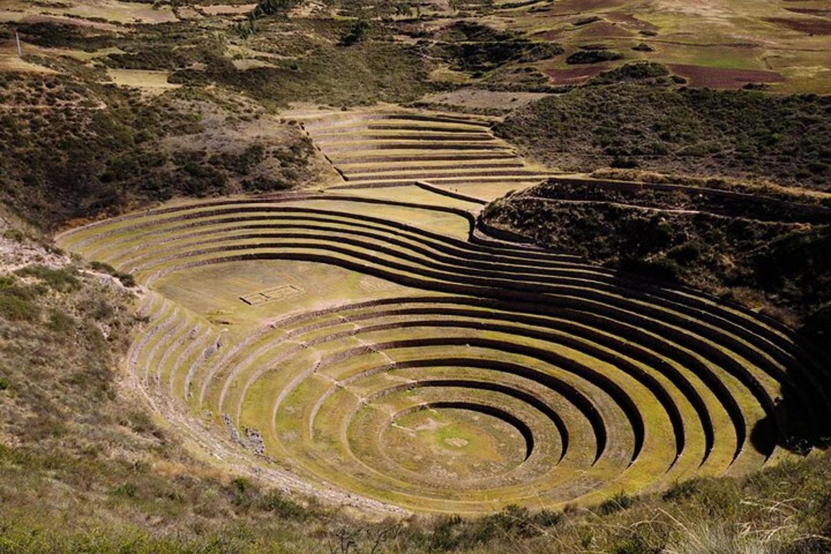 un anfiteatro in mezzo a un campo