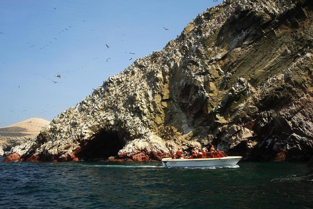 un grup de persones en una barca davant d'una cova