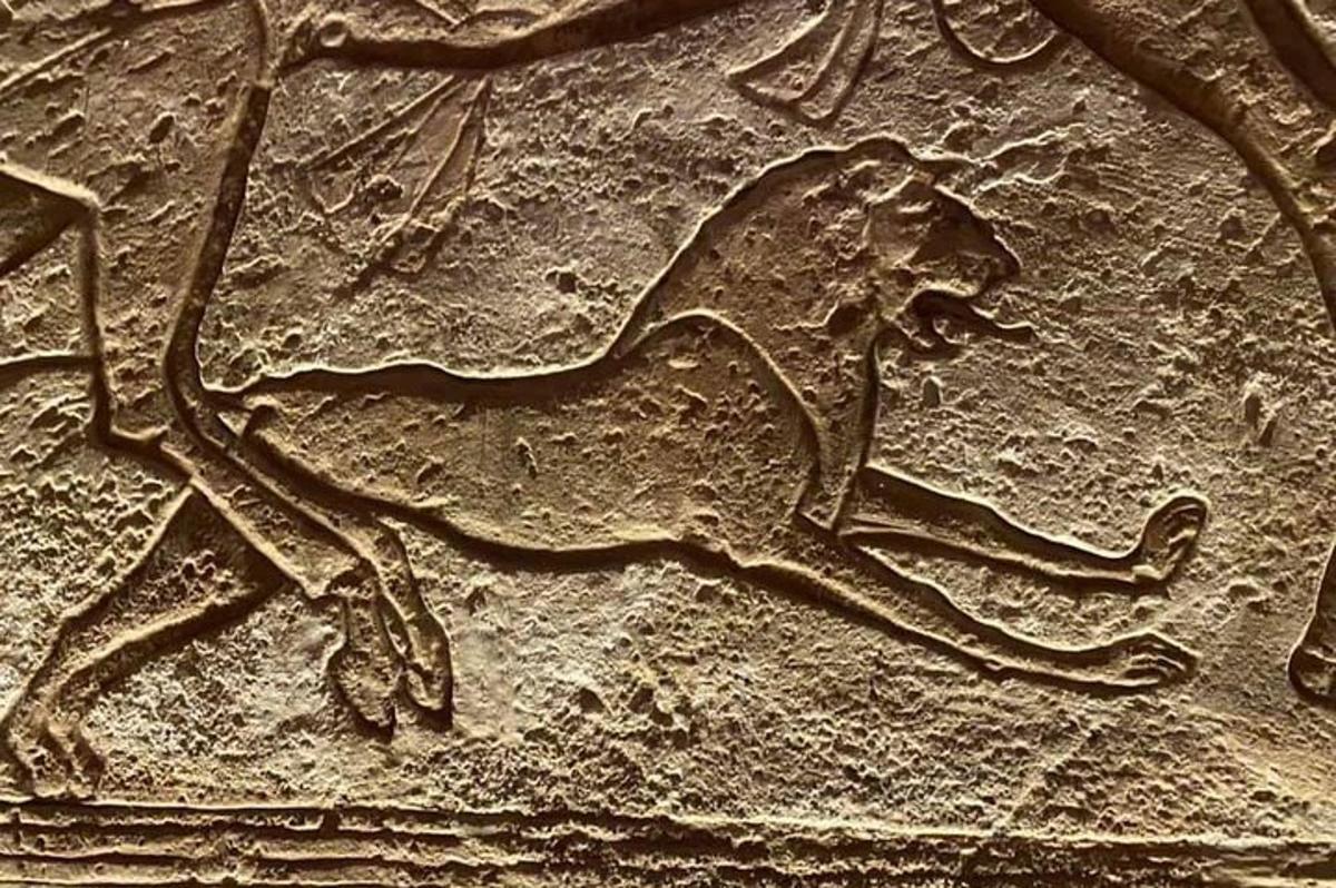 Un relieve de un caballo en una pared