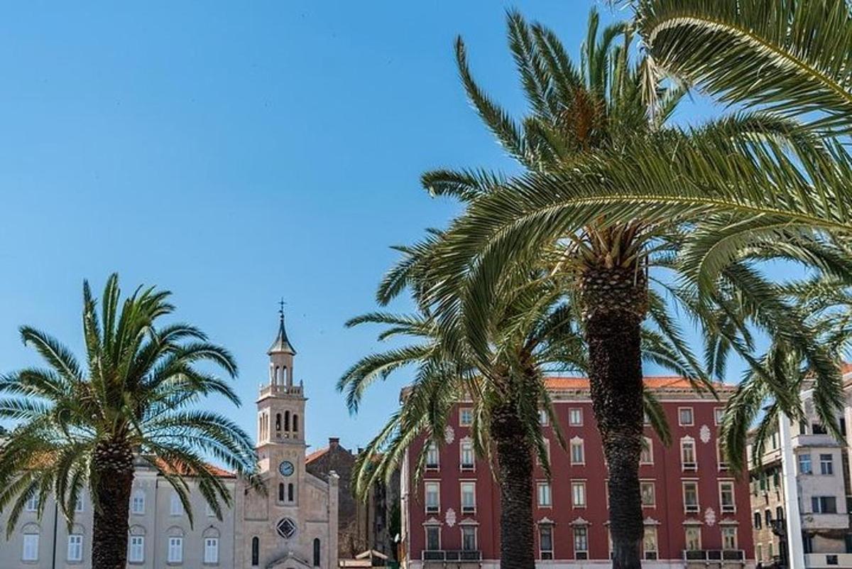 un gruppo di palme davanti a un edificio