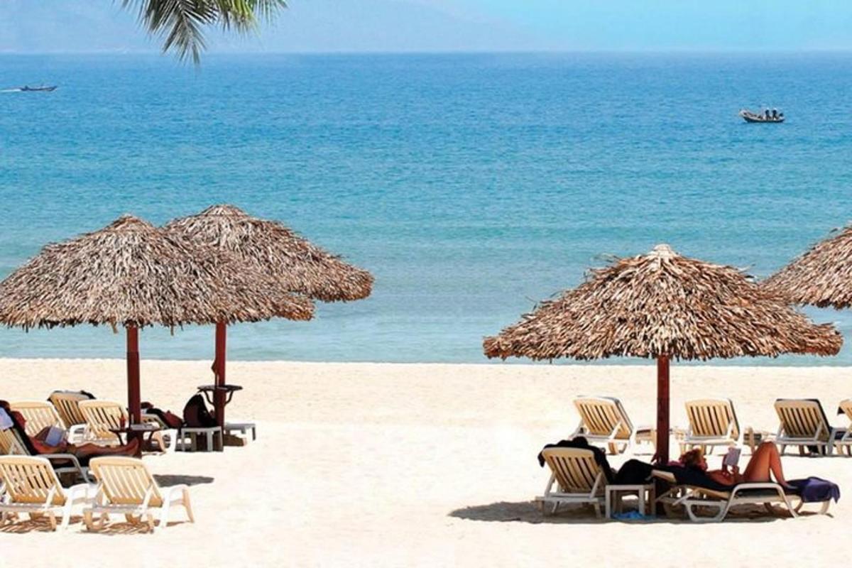 plajda şemsiyelerin altında sandalyelerde oturan bir grup insan