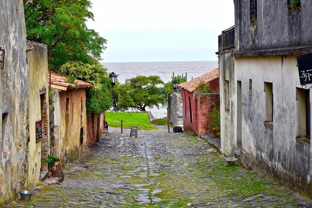 Fotografia da atração 6