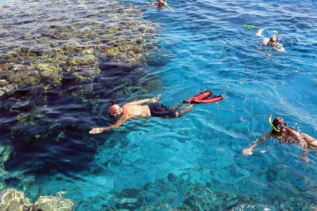 sekelompok orang yang sedang berenang di air