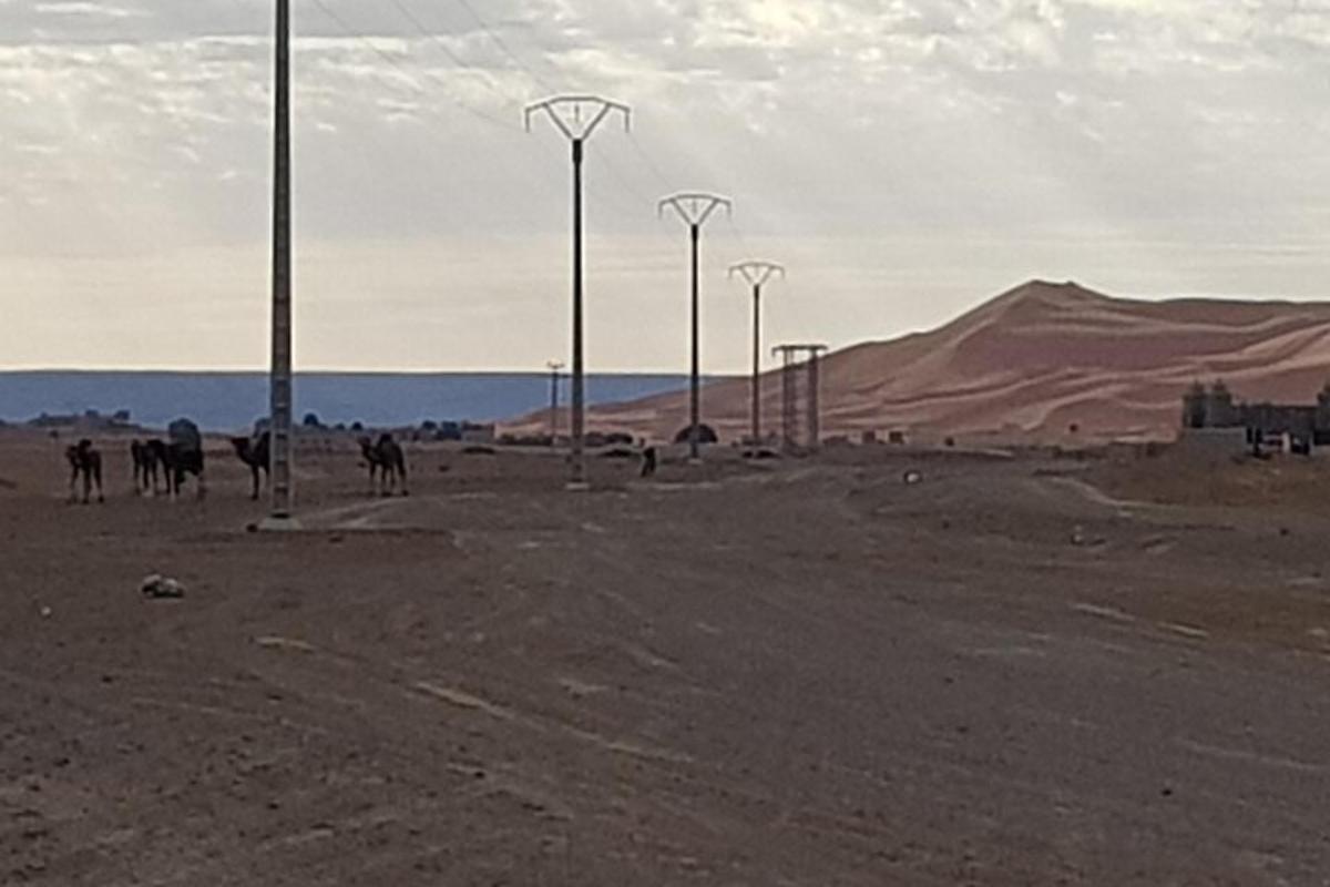 صحراء مع الخيول وأضواء الشوارع في الصحراء