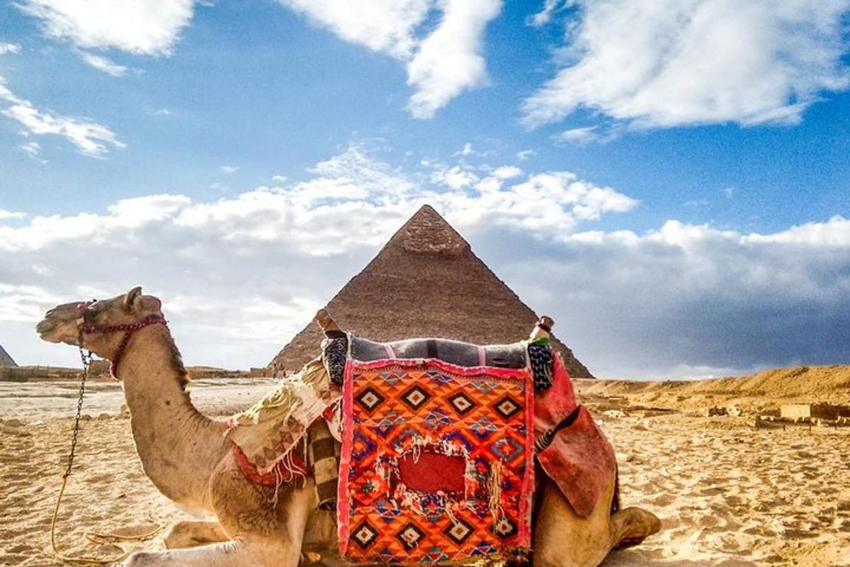 Velbloud sedí před pyramidami