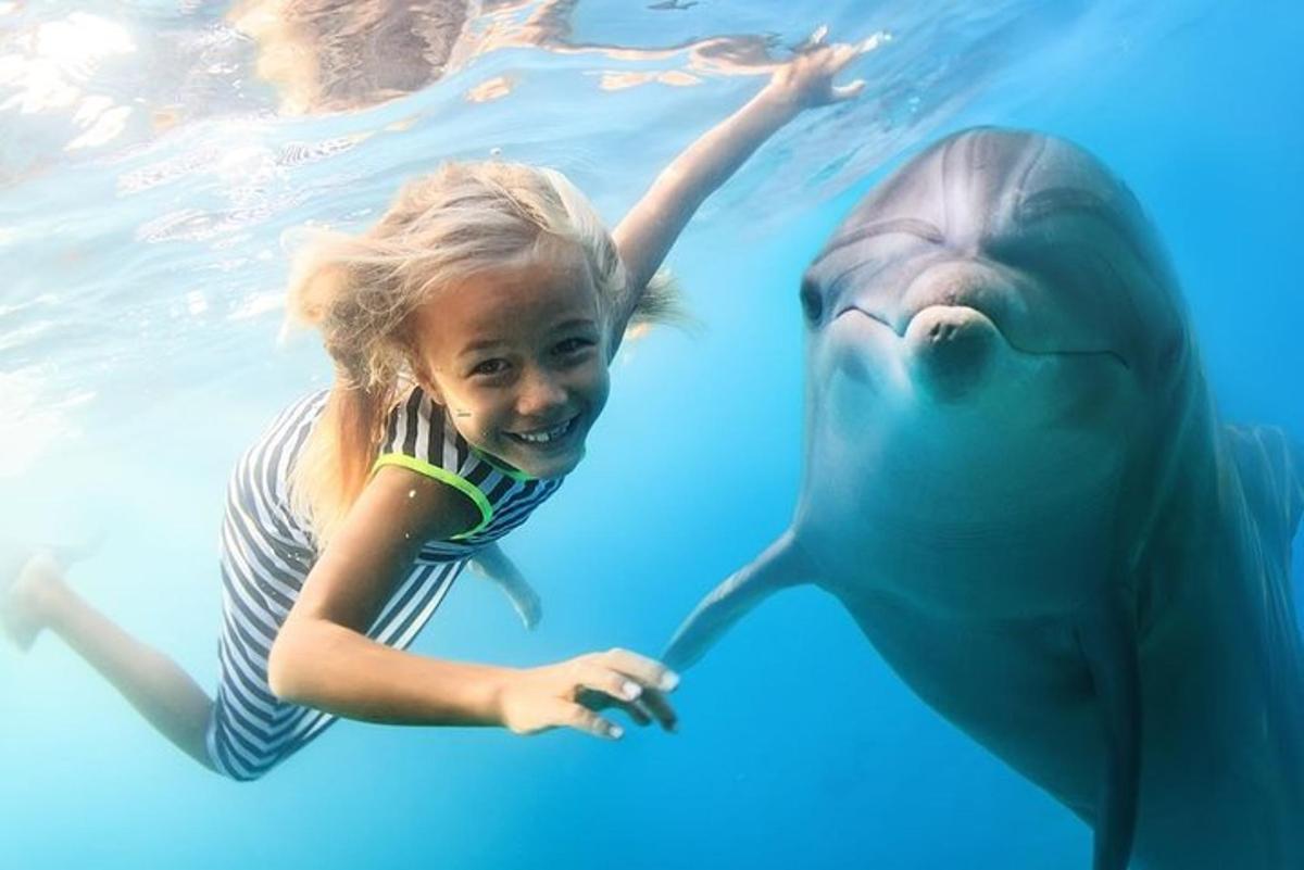 uma menina e um golfinho na água