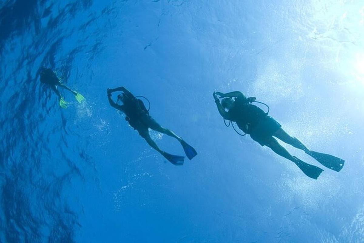 un grup de persones nedant a l'aigua