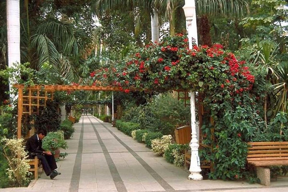 a man sitting on a bench in a garden with flowers