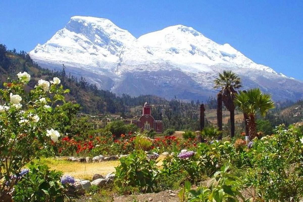 a snow covered mountain in front of a field of flowers