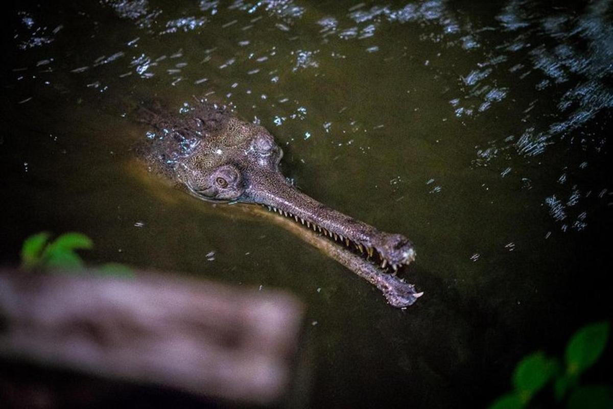 Fotografia da atração 4