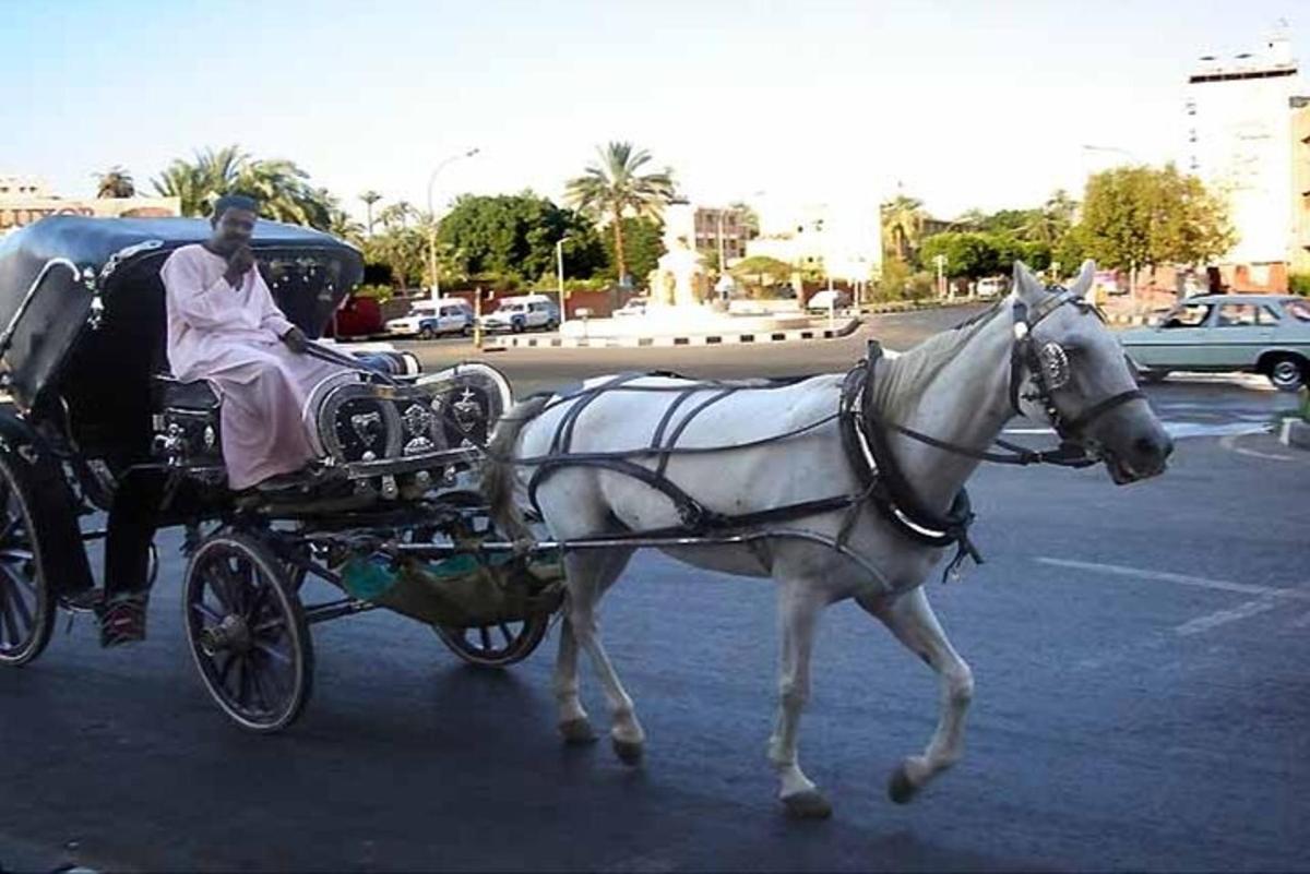 un uomo che viaggia in una carrozza trainata da cavalli