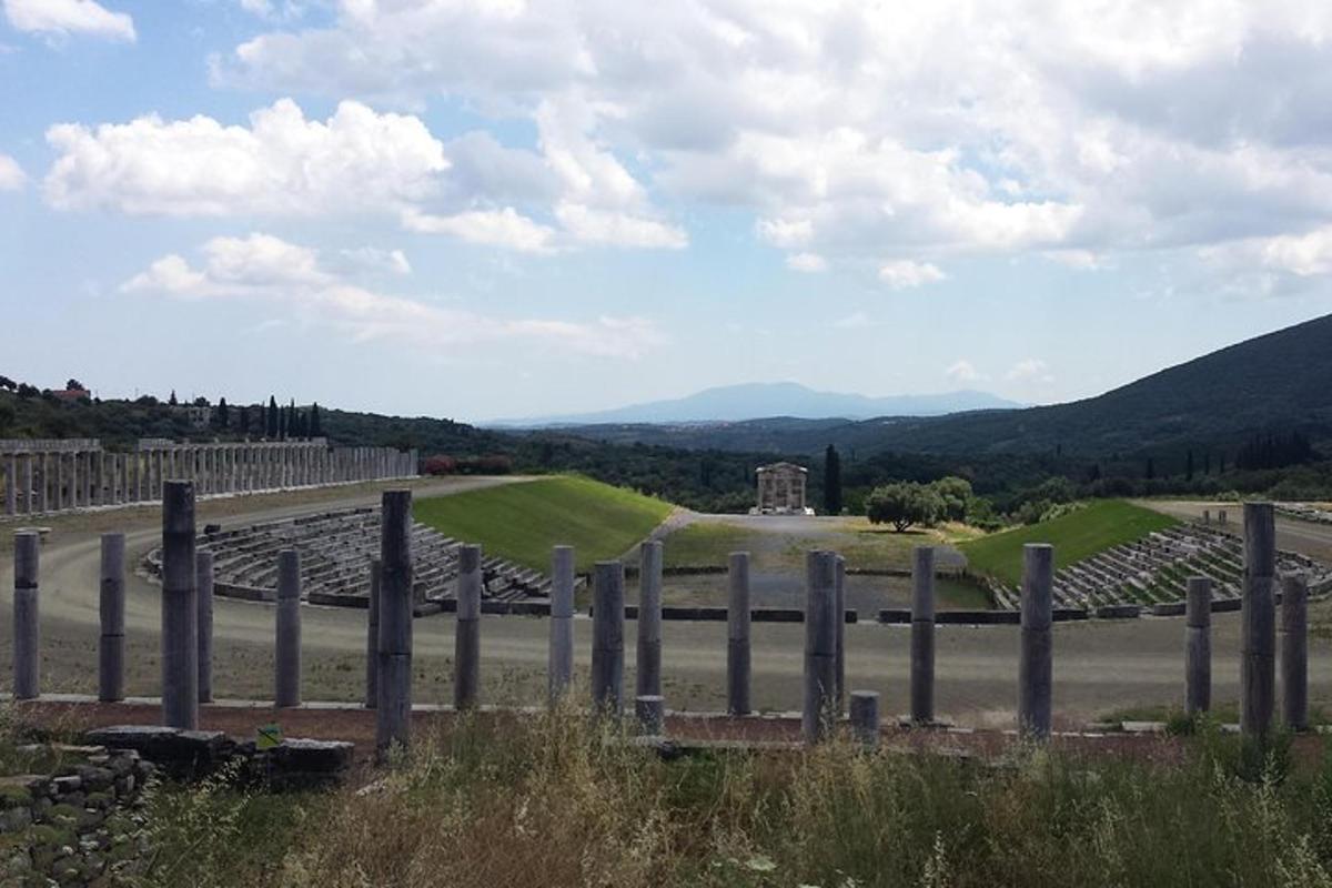vista d'una vinya des de darrere d'una tanca