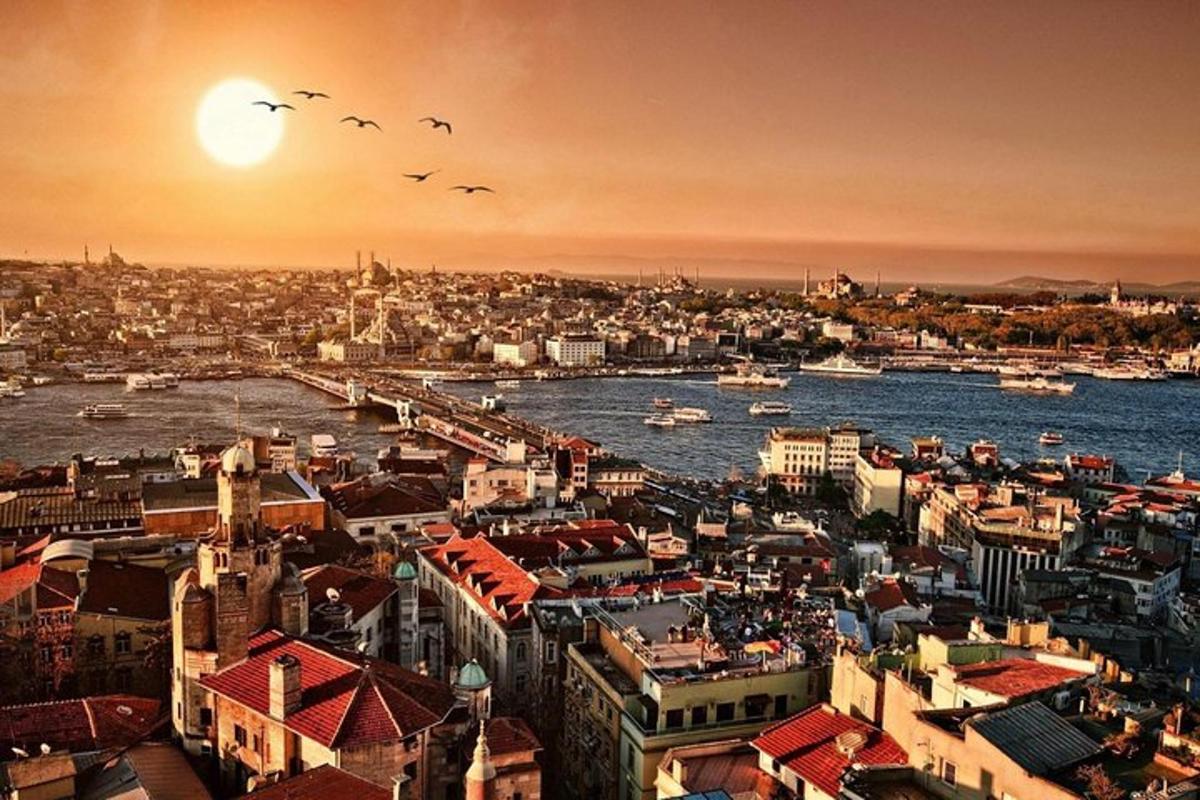uma vista de uma cidade com pássaros voando sobre a água