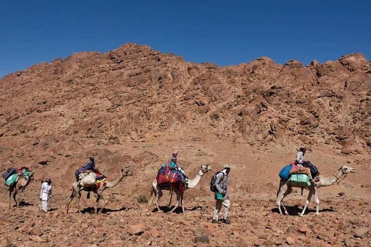 a group of people riding camels in the desert