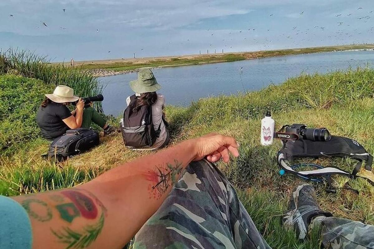 Un grupo de personas sentadas en el césped cerca de un cuerpo de agua.