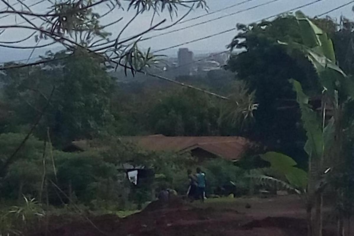 Fotografia da atração 2