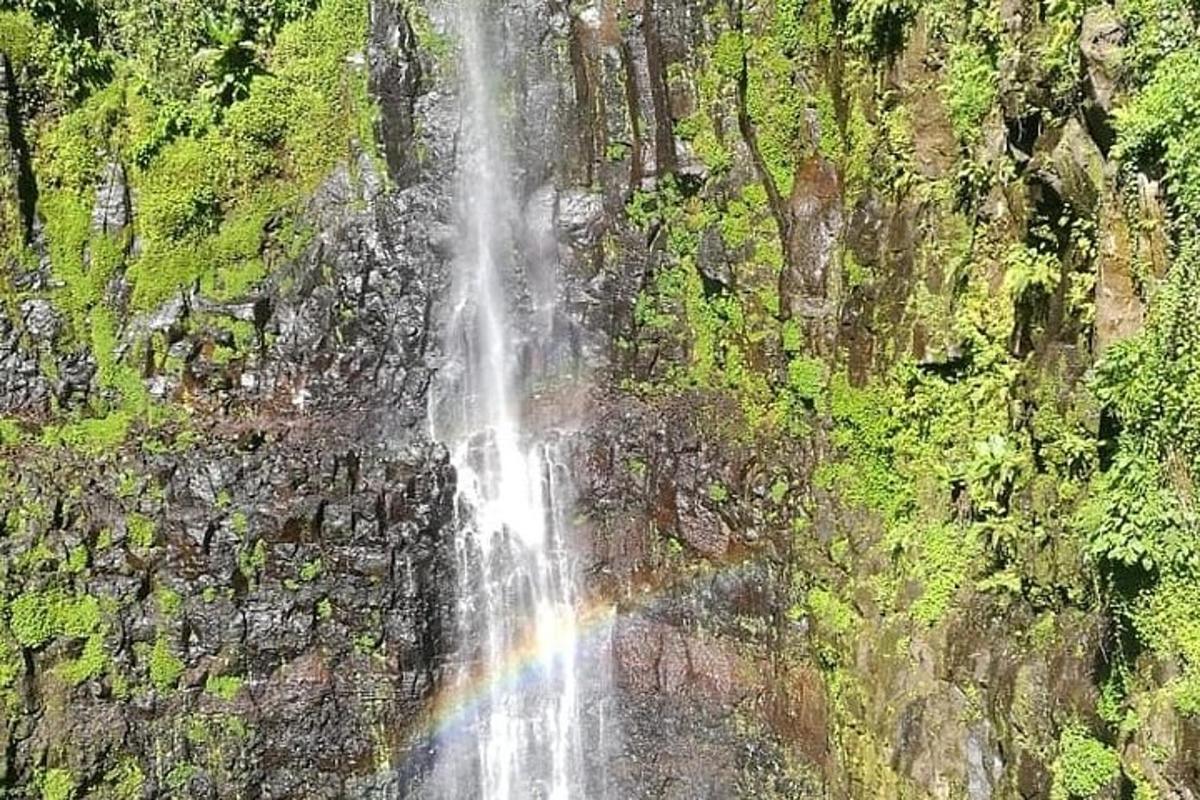 Fotografia da atração 7