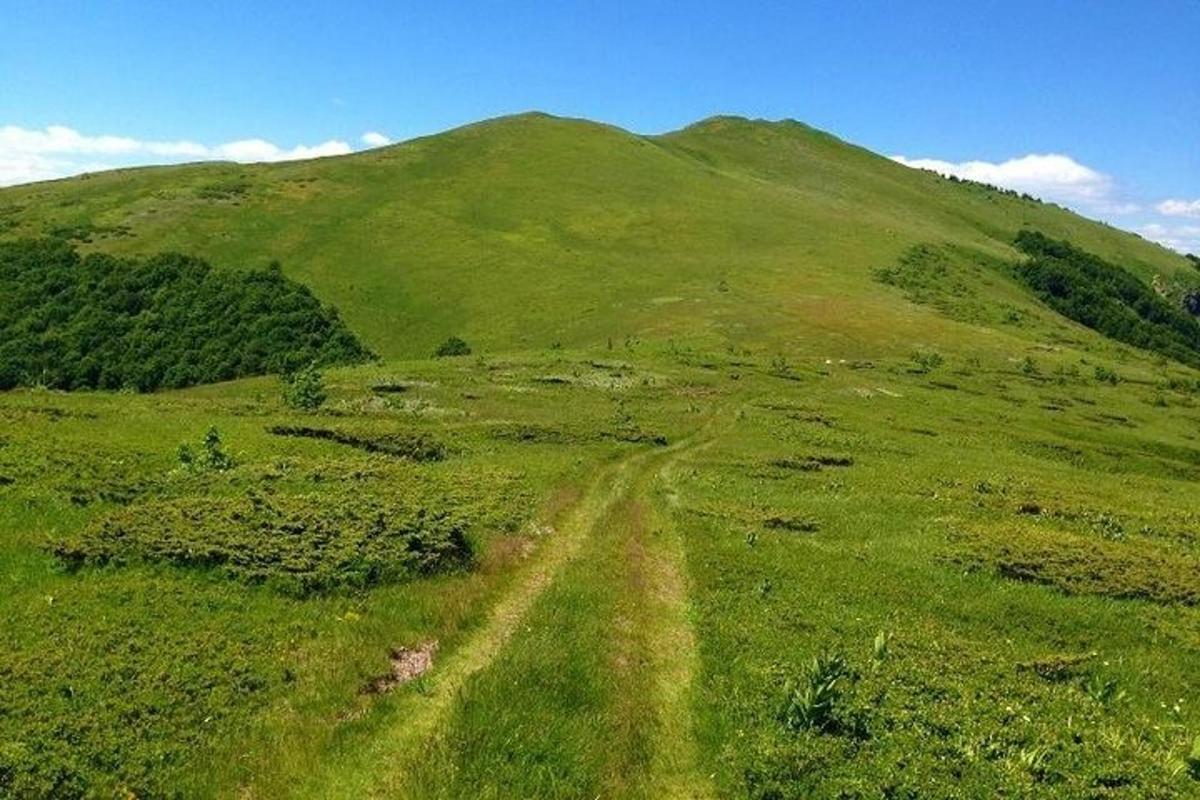 un turó verd amb un camí de terra a l'herba
