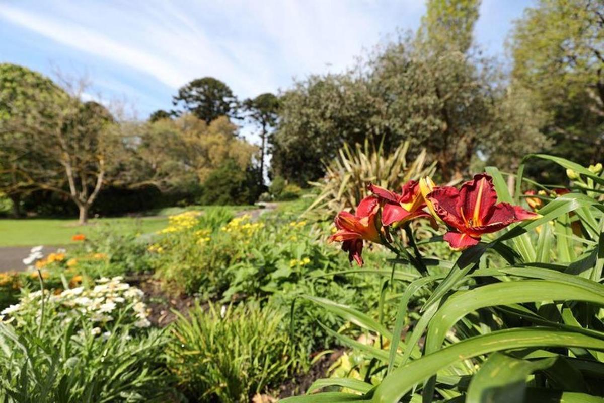 a garden with red flowers in a park
