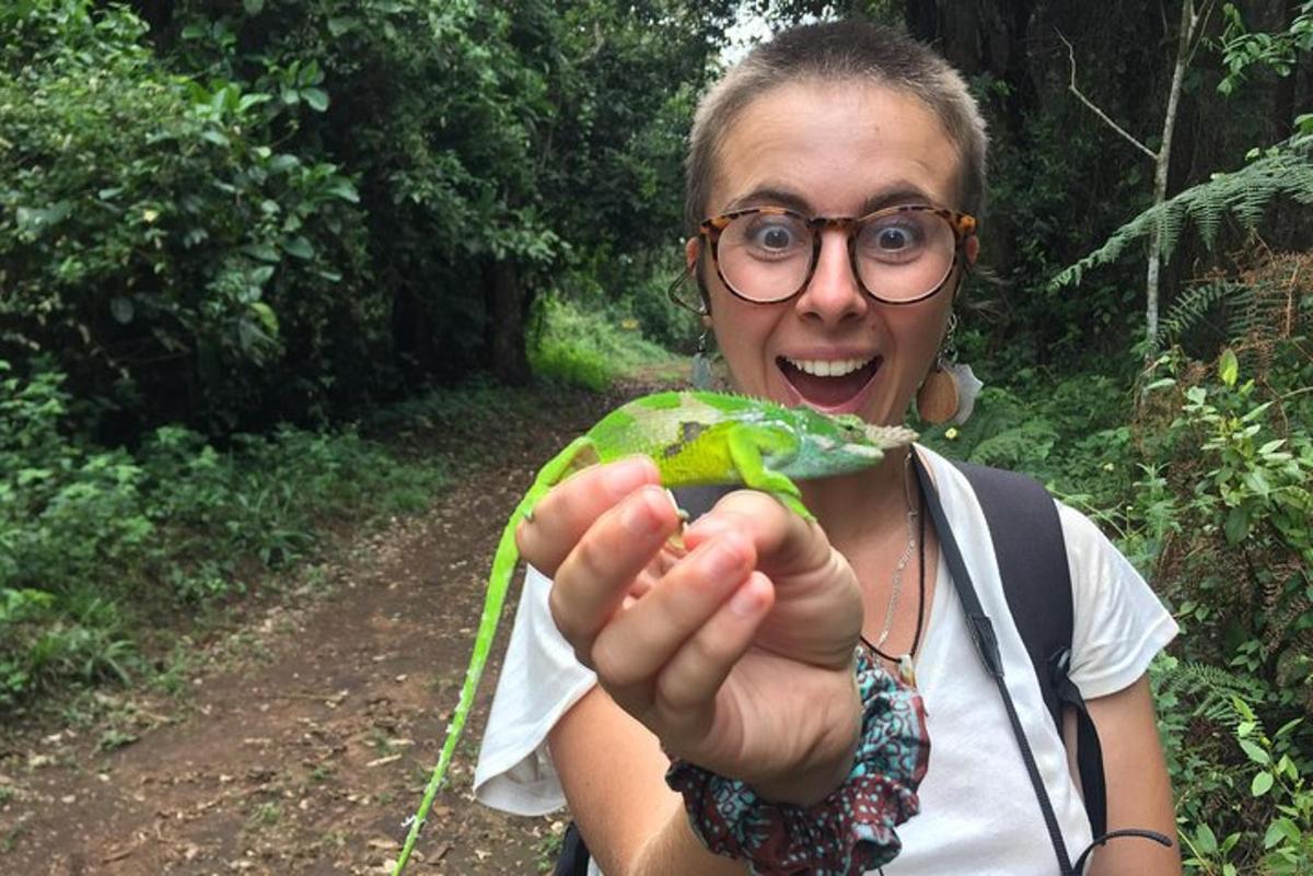 žena držící v ruce zeleného papouška