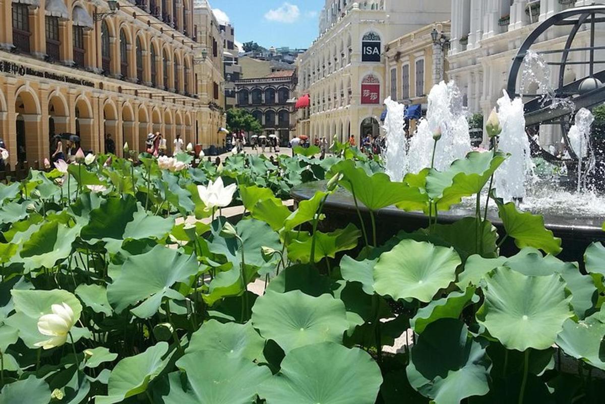 Lankytinos vietos ar pramogos nuotrauka numeris 6