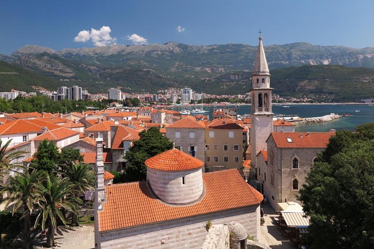 una vista d'una ciutat amb una torre i una església