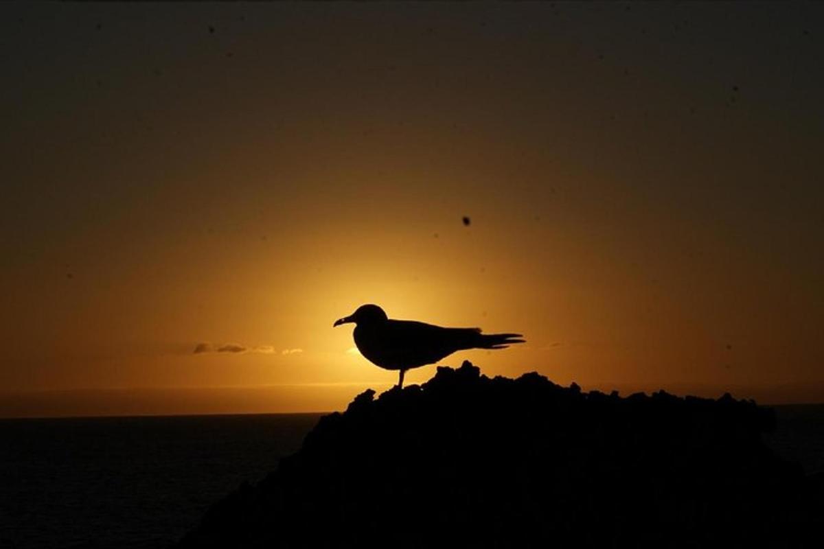 Lankytinos vietos ar pramogos nuotrauka numeris 3