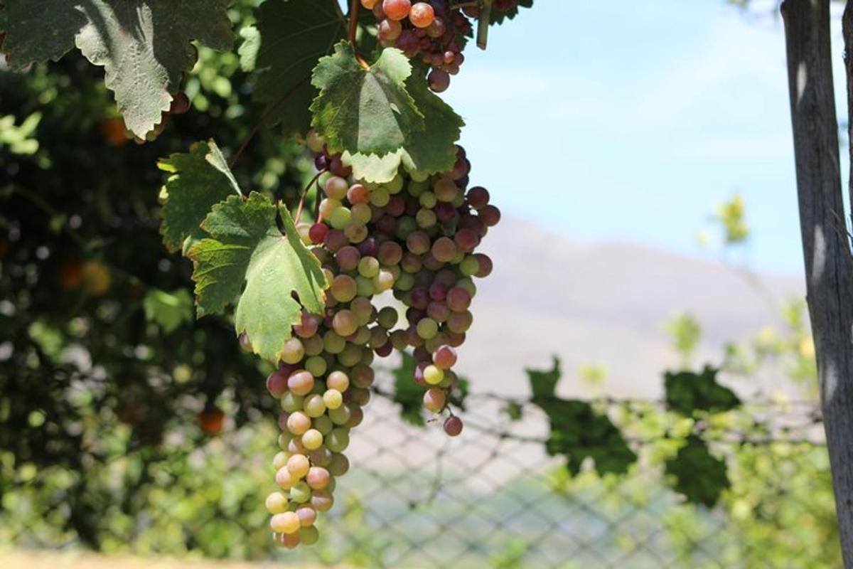 Lankytinos vietos ar pramogos nuotrauka numeris 2