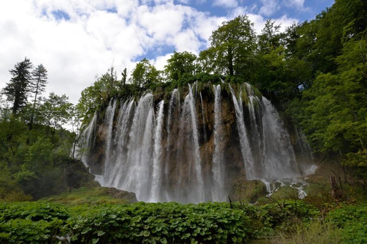 una cascata in mezzo a una foresta