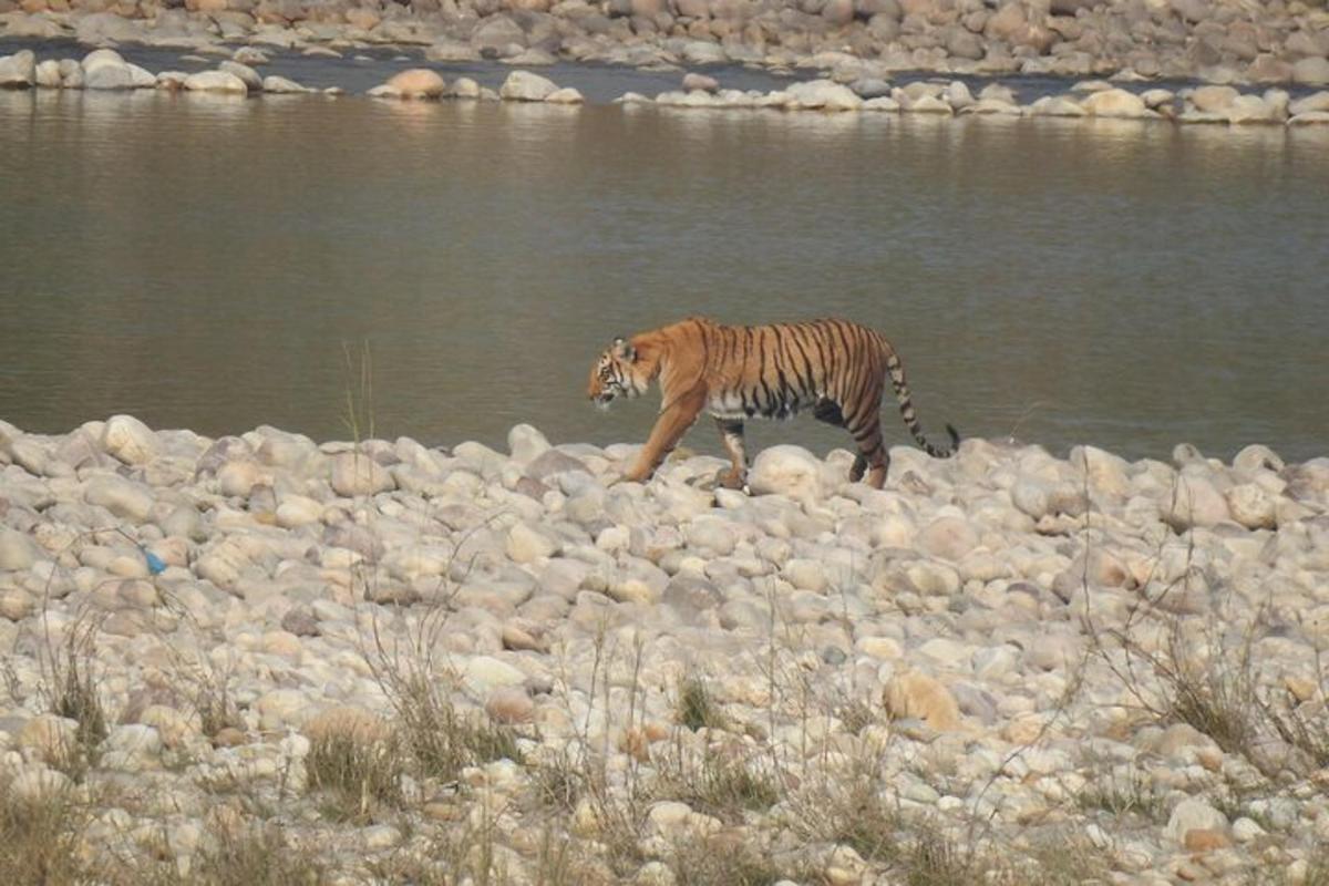 Lankytinos vietos ar pramogos nuotrauka numeris 6