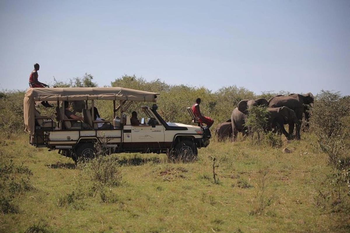 a group of people in a safari vehicle watching elephants