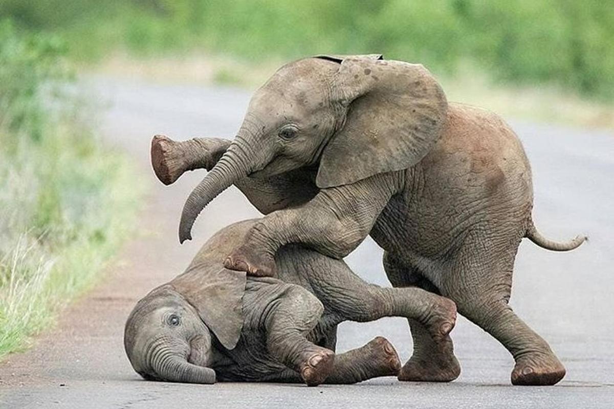 3枚目の観光スポット・アクティビティの写真