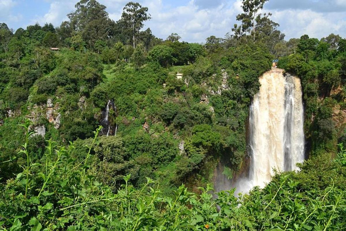 una cascada al vessant d'un turó amb arbres