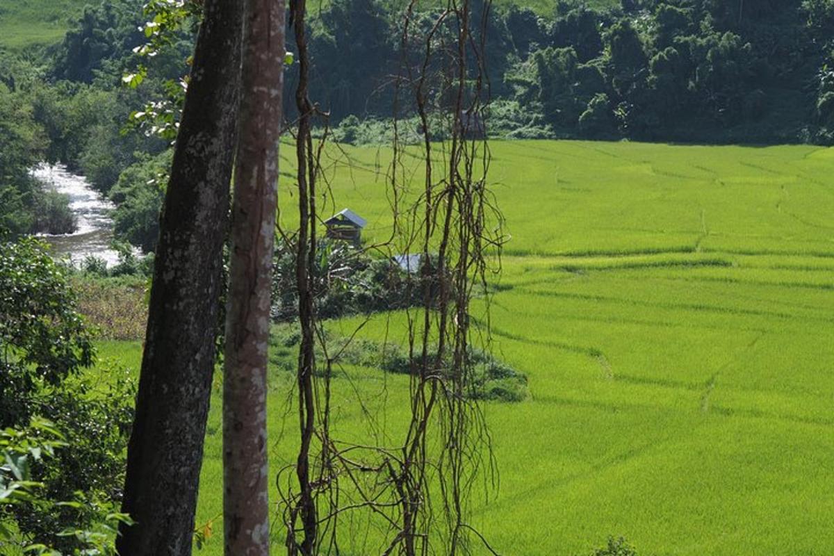 Fotografia atrakcie č. 2